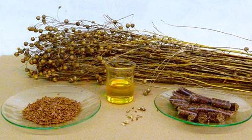 Flax seed 