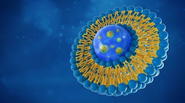 Liposomes