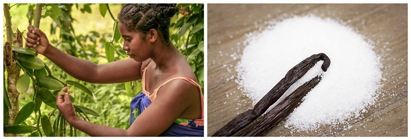 istockphoto-654252582-612x612