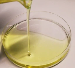 info-441-397 info-441-397