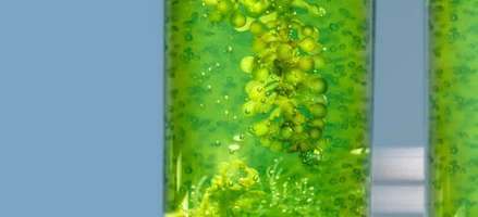 info-612-279 info-612-279