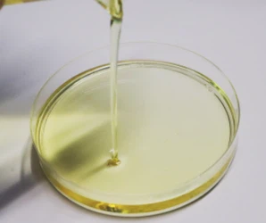 info-328-275 info-328-275