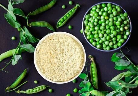 Pea protein isolate powder2