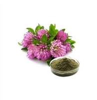 레드 클로버 추출물 분말