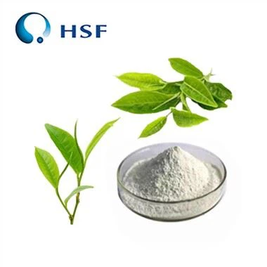 순수한 L- 테아닌 분말