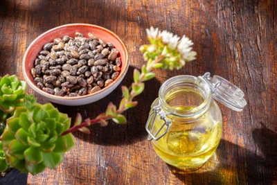 밀크씨슬 씨 오일 – HSF 생명공학 마이크로캡슐 기술로 시장 성장